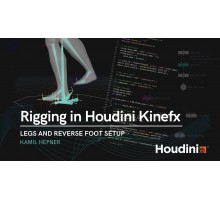 [CGcircuit] Rigging in Houdini Kinefx VOL 1-2 [RUS]. Риггинг в Houdini с помощью KineFX. Тома 1-2
