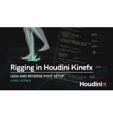 [CGcircuit] Rigging in Houdini Kinefx VOL 1-2 [RUS]. Риггинг в Houdini с помощью KineFX. Тома 1-2