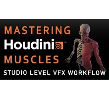 [CGCircuit]Mastering Houdini Muscles: A Studio Level VFX Workflow [ENG]