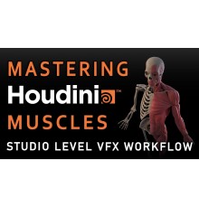 [CGCircuit]Mastering Houdini Muscles: A Studio Level VFX Workflow [ENG] Updated version