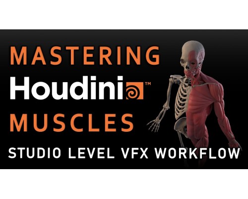 [CGCircuit]Mastering Houdini Muscles: A Studio Level VFX Workflow [ENG]