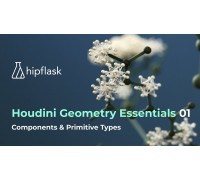 [hipflask] Houdini Geometry Essentials 01 Components & Primitive Types [RUS]. Основы геометрии в Houdini. Часть 1 Компоненты и типы примитивов