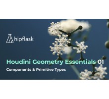  [hipflask] Houdini Geometry Essentials 01 Components & Primitive Types. +Update [RUS]. Основы геометрии в Houdini. Часть 1 Компоненты и типы примитивов. +Обновление