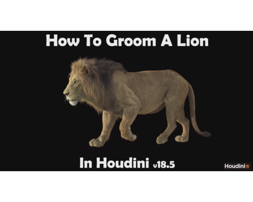 [CGcircuit] Grooming Lion Fur in Houdini [ENG-RUS]. Создание шерсти льва в Houdini